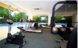 Mount Elizabeth Link (D9), Condominium #460494061